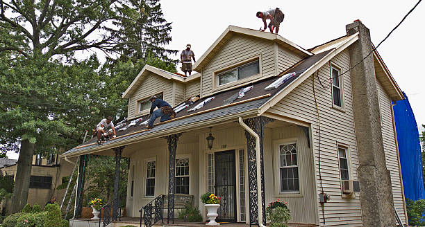 Best Metal Roofing Contractor  in Newark, TX